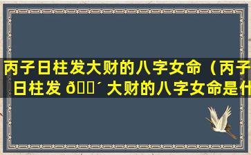 丙子日柱发大财的八字女命（丙子日柱发 🌴 大财的八字女命是什么）